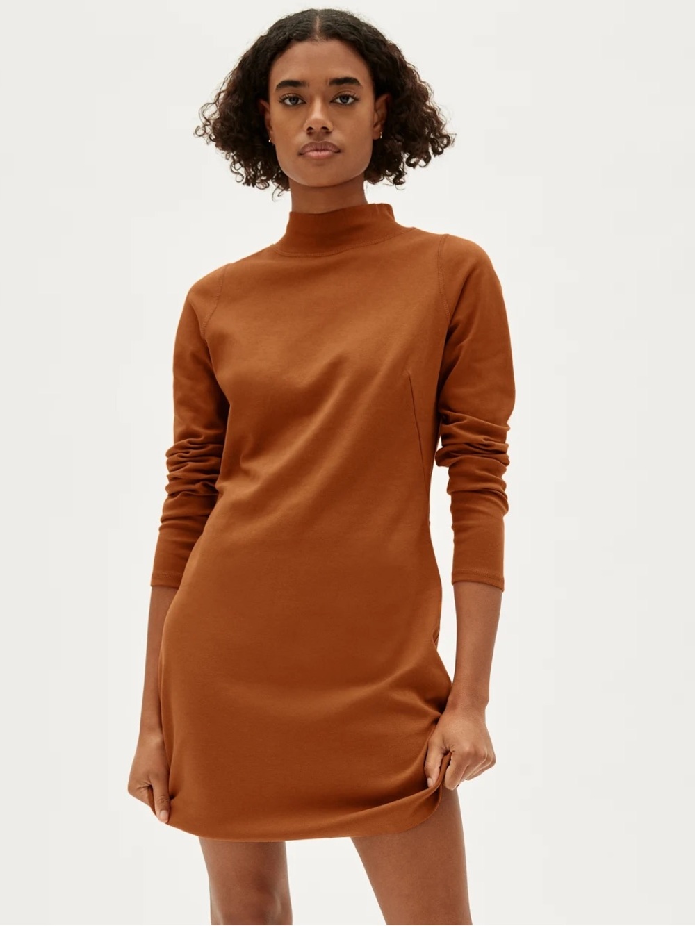 Everlane The Cotton Mockneck Dress in Honey